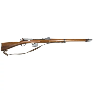 Schmidt-Rubin M1889