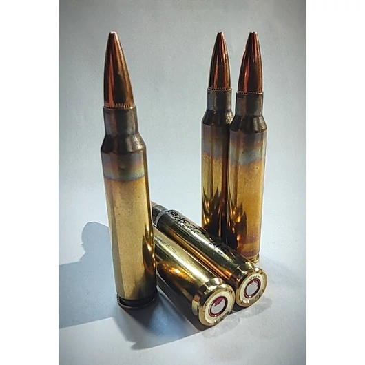 223Rem FMJ 3,6g 55gr SM